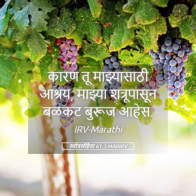 Picture 05 - स्तोत्रसंहिता 61:3 MARIRV - कारण तू - Bible Verse Picture