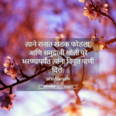 Picture 05 - स्तोत्रसंहिता 78:15 MARIRV - त्याने रानात खडक - Bible Verse Picture