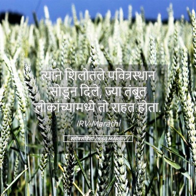 Picture 05 - स्तोत्रसंहिता 78:60 MARIRV - त्याने शिलोतले - Bible Verse Picture