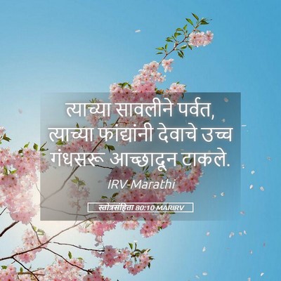 Picture 05 - स्तोत्रसंहिता 80:10 MARIRV - त्याच्या सावलीने - Bible Verse Picture