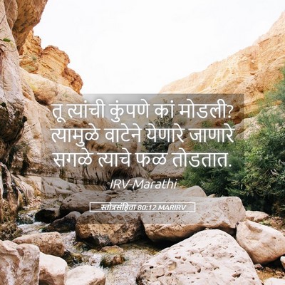 Picture 05 - स्तोत्रसंहिता 80:12 MARIRV - तू त्यांची कुंपणे - Bible Verse Picture
