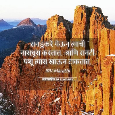 Picture 05 - स्तोत्रसंहिता 80:13 MARIRV - रानडुकरे येऊन - Bible Verse Picture