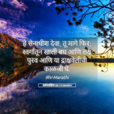 Picture 05 - स्तोत्रसंहिता 80:14 MARIRV - हे सेनाधीश देवा, तू - Bible Verse Picture