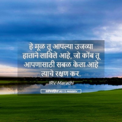 Picture 05 - स्तोत्रसंहिता 80:15 MARIRV - हे मूळ तू आपल्या - Bible Verse Picture