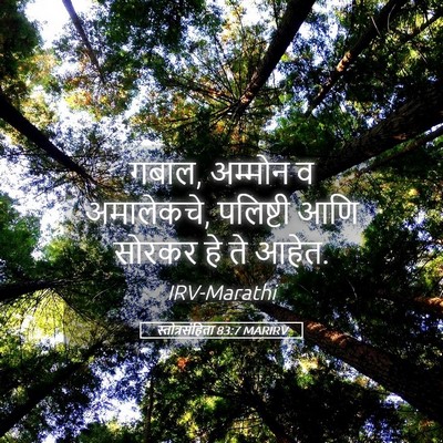 Picture 05 - स्तोत्रसंहिता 83:7 MARIRV - गबाल, अम्मोन व - Bible Verse Picture