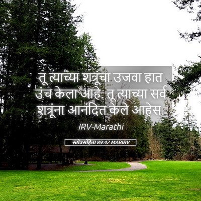 Picture 05 - स्तोत्रसंहिता 89:42 MARIRV - तू त्याच्या - Bible Verse Picture