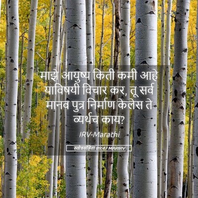 Picture 05 - स्तोत्रसंहिता 89:47 MARIRV - माझे आयुष्य किती - Bible Verse Picture