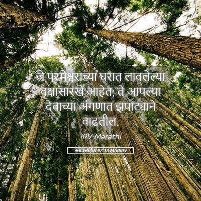 Picture 05 - स्तोत्रसंहिता 92:13 MARIRV - जे परमेश्वराच्या - Bible Verse Picture