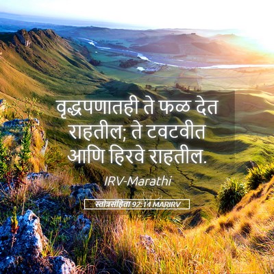 Picture 05 - स्तोत्रसंहिता 92:14 MARIRV - वृद्धपणातही ते फळ - Bible Verse Picture