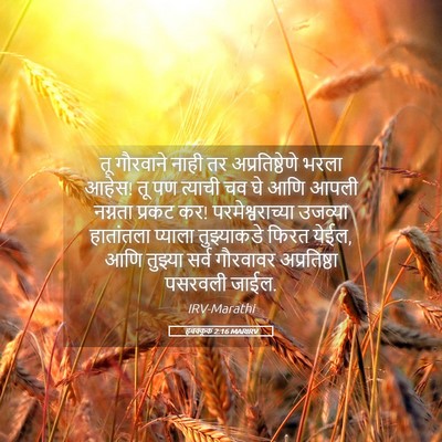Picture 05 - हबक्कूक 2:16 MARIRV - तू गौरवाने नाही तर - Bible Verse Picture