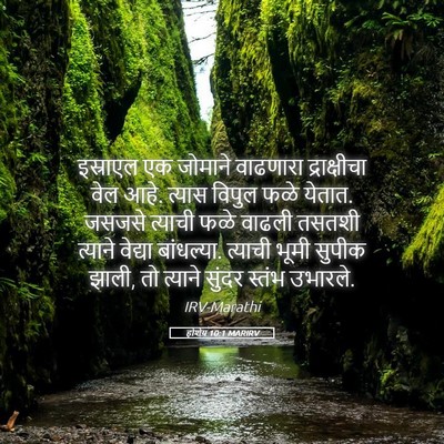 Picture 05 - होशेय 10:1 MARIRV - इस्राएल एक जोमाने - Bible Verse Picture