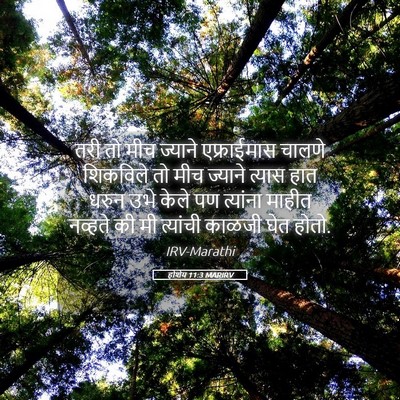 Picture 05 - होशेय 11:3 MARIRV - तरी तो मीच ज्याने - Bible Verse Picture