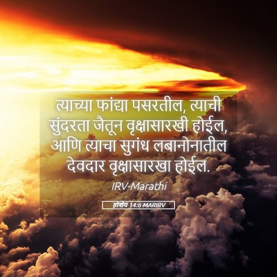 Picture 05 - होशेय 14:6 MARIRV - त्याच्या फांद्या - Bible Verse Picture
