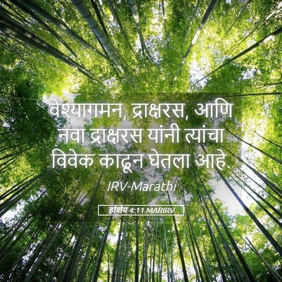Picture 05 - होशेय 4:11 MARIRV - वेश्यागमन, - Bible Verse Picture