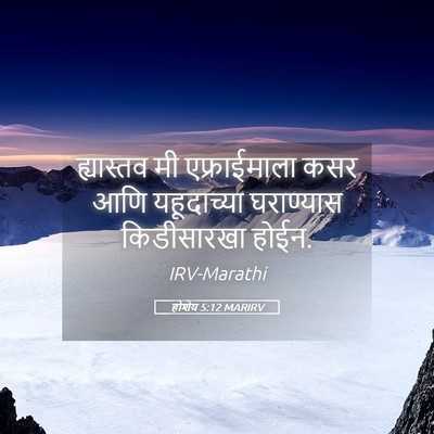 Picture 05 - होशेय 5:12 MARIRV - ह्यास्तव मी - Bible Verse Picture
