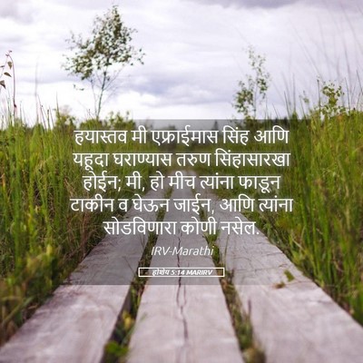 Picture 05 - होशेय 5:14 MARIRV - हयास्तव मी - Bible Verse Picture