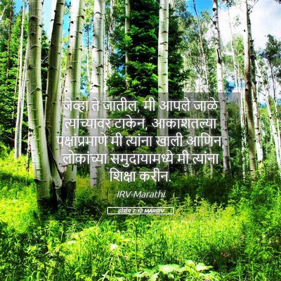 Picture 05 - होशेय 7:12 MARIRV - जेव्हा ते जातील, मी - Bible Verse Picture