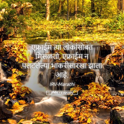 Picture 05 - होशेय 7:8 MARIRV - एफ्राईम त्या - Bible Verse Picture