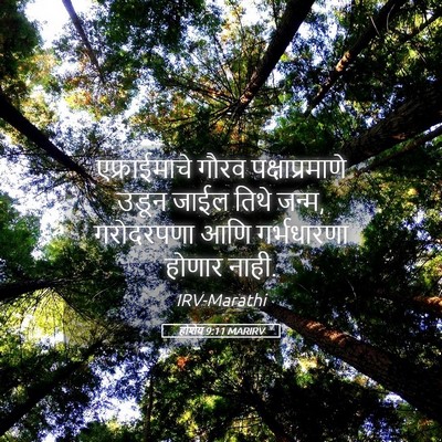 Picture 05 - होशेय 9:11 MARIRV - एफ्राईमाचे गौरव - Bible Verse Picture