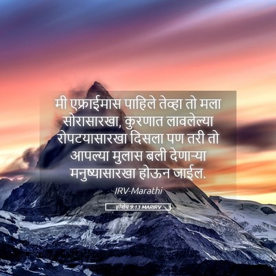 Picture 05 - होशेय 9:13 MARIRV - मी एफ्राईमास - Bible Verse Picture