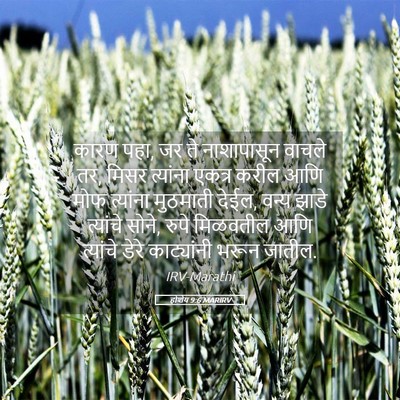 Picture 05 - होशेय 9:6 MARIRV - कारण पहा, जर ते - Bible Verse Picture
