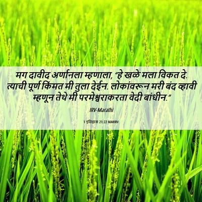 Picture 06 - 1 इतिहास 21:22 MARIRV - मग दावीद अर्णानला - Bible Verse Picture