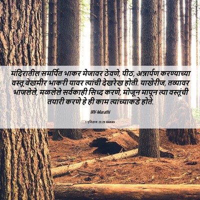 Picture 06 - 1 इतिहास 23:29 MARIRV - मंदिरातील समर्पित - Bible Verse Picture