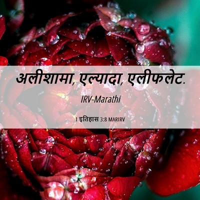 Picture 06 - 1 इतिहास 3:8 MARIRV - अलीशामा, एल्यादा, - Bible Verse Picture