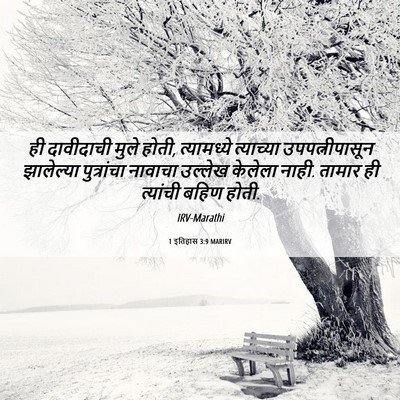 Picture 06 - 1 इतिहास 3:9 MARIRV - ही दावीदाची मुले - Bible Verse Picture