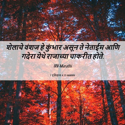 Picture 06 - 1 इतिहास 4:23 MARIRV - शेलाचे वंशज हे - Bible Verse Picture