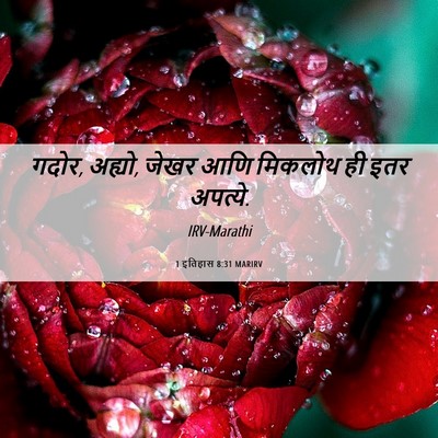 Picture 06 - 1 इतिहास 8:31 MARIRV - गदोर, अह्यो, जेखर - Bible Verse Picture