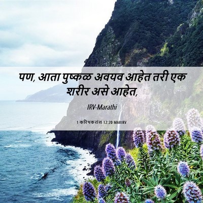 Picture 06 - 1 करिंथकरांस 12:20 MARIRV - पण, आता पुष्कळ अवयव - Bible Verse Picture