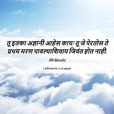 Picture 06 - 1 करिंथकरांस 15:36 MARIRV - तू इतका अज्ञानी - Bible Verse Picture