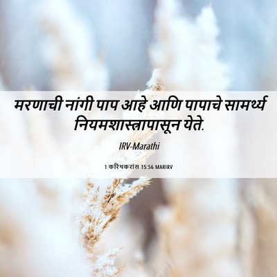 Picture 06 - 1 करिंथकरांस 15:56 MARIRV - मरणाची नांगी पाप - Bible Verse Picture