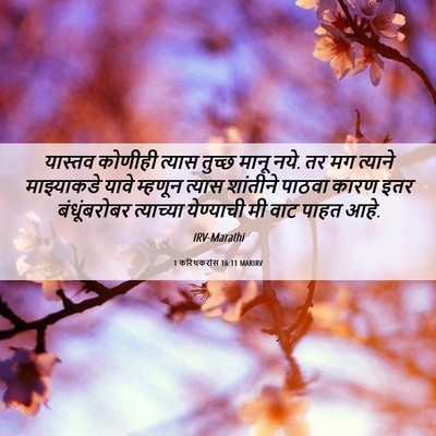 Picture 06 - 1 करिंथकरांस 16:11 MARIRV - यास्तव कोणीही - Bible Verse Picture
