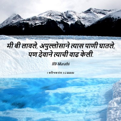 Picture 06 - 1 करिंथकरांस 3:6 MARIRV - मी बी लावले, - Bible Verse Picture