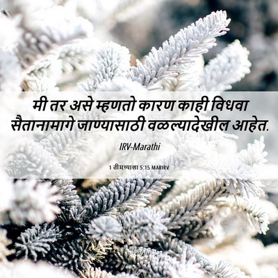 Picture 06 - 1 तीमथ्याला 5:15 MARIRV - मी तर असे म्हणतो - Bible Verse Picture