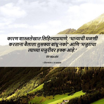 Picture 06 - 1 तीमथ्याला 5:18 MARIRV - कारण शास्त्रलेखात - Bible Verse Picture