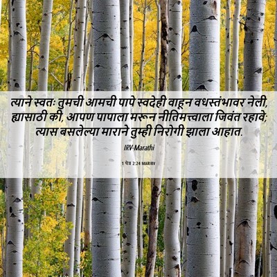 Picture 06 - 1 पेत्र 2:24 MARIRV - त्याने स्वतः - Bible Verse Picture