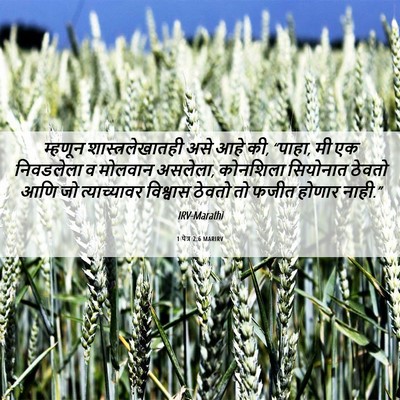 Picture 06 - 1 पेत्र 2:6 MARIRV - म्हणून - Bible Verse Picture