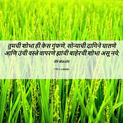 Picture 06 - 1 पेत्र 3:3 MARIRV - तुमची शोभा ही केस - Bible Verse Picture