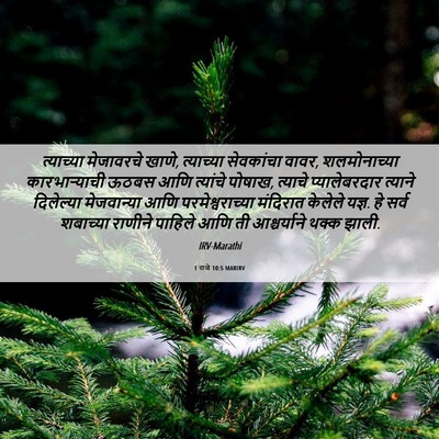 Picture 06 - 1 राजे 10:5 MARIRV - त्याच्या मेजावरचे - Bible Verse Picture