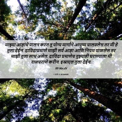 Picture 06 - 1 राजे 11:38 MARIRV - माझ्या आज्ञांचे - Bible Verse Picture