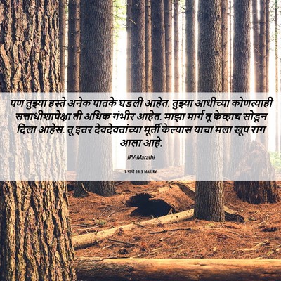 Picture 06 - 1 राजे 14:9 MARIRV - पण तुझ्या हस्ते - Bible Verse Picture