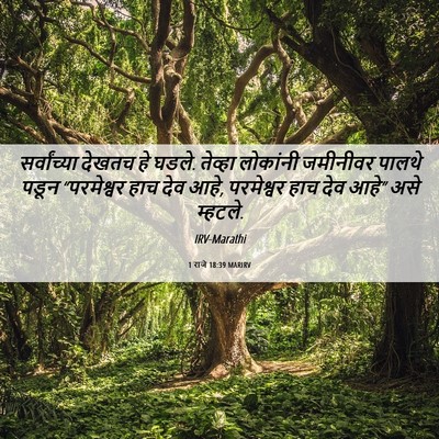 Picture 06 - 1 राजे 18:39 MARIRV - सर्वांच्या देखतच - Bible Verse Picture