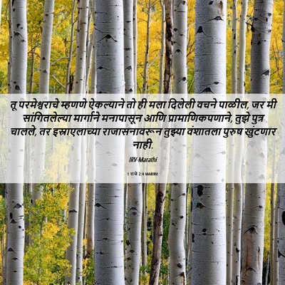 Picture 06 - 1 राजे 2:4 MARIRV - तू परमेश्वराचे - Bible Verse Picture