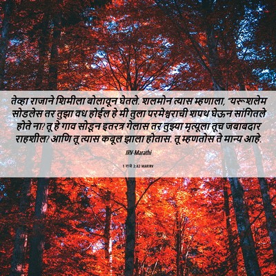 Picture 06 - 1 राजे 2:42 MARIRV - तेव्हा राजाने - Bible Verse Picture