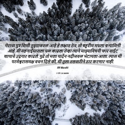 Picture 06 - 1 राजे 2:8 MARIRV - गेराचा पुत्र शिमी - Bible Verse Picture