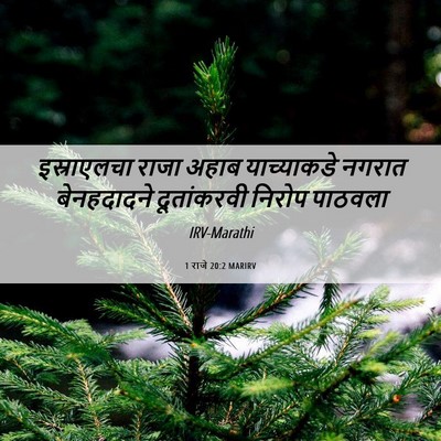 Picture 06 - 1 राजे 20:2 MARIRV - इस्राएलचा राजा - Bible Verse Picture