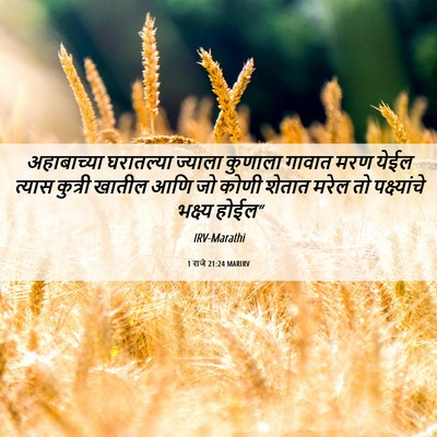 Picture 06 - 1 राजे 21:24 MARIRV - अहाबाच्या - Bible Verse Picture
